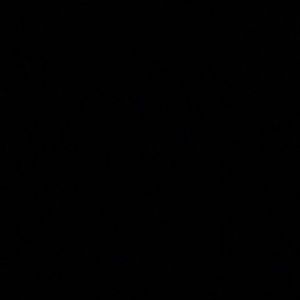 Meet your Posher, Lena